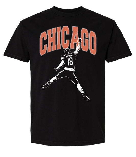 T-SHIRT CHICAGO BEARS